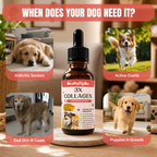 ProFluffyBio 3X Collagen Peptides Liquid Supplement for Dogs - Supports Skin, Healthy Coats, Hips & Joints - with Hyaluronic Acid, Types 1,2 & 3 Collagen - Add to Food, Suitable for All Sizes, Skin & Joints