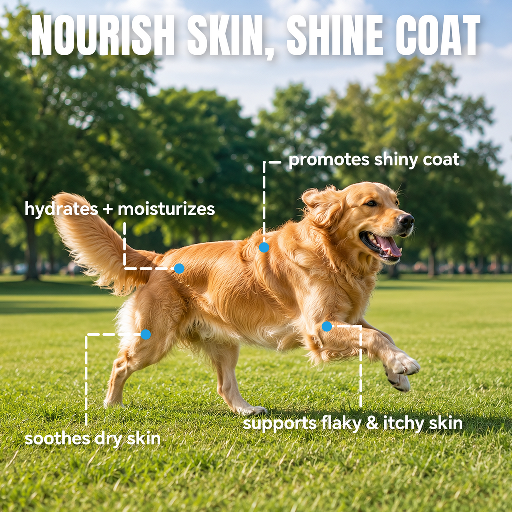 ProFluffyBio 3X Collagen Peptides Liquid Supplement for Dogs - Supports Skin, Healthy Coats, Hips & Joints - with Hyaluronic Acid, Types 1,2 & 3 Collagen - Add to Food, Suitable for All Sizes, Skin & Joints