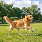ProFluffyBio 3X Collagen Peptides Liquid Supplement for Dogs - Supports Skin, Healthy Coats, Hips & Joints - with Hyaluronic Acid, Types 1,2 & 3 Collagen - Add to Food, Suitable for All Sizes, Skin & Joints