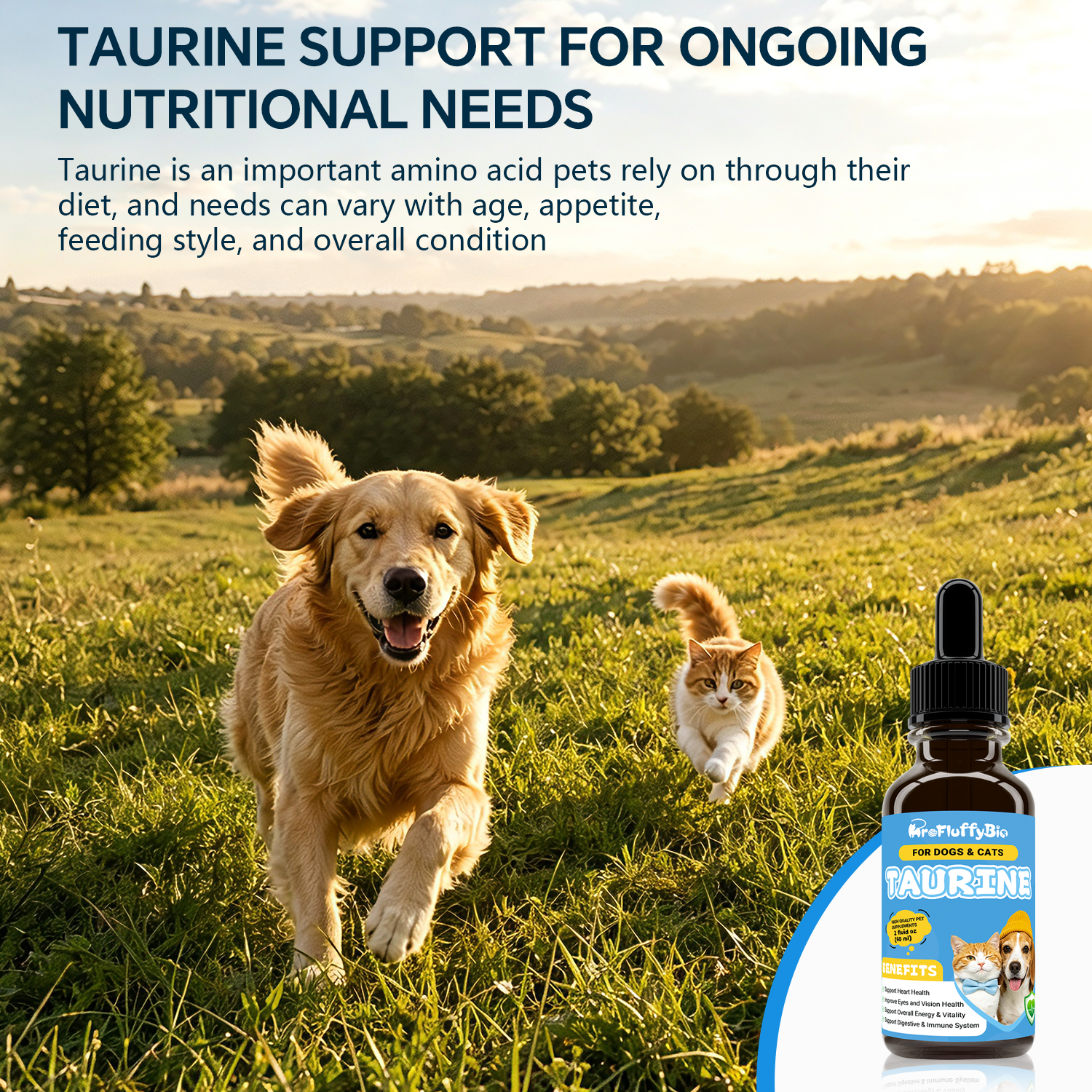 ProFluffyBio Taurine Supplement for Dogs & Cats Liquid Drops Heart Healthy 60mL (1pack) Pets Daily Amino Acid Nutrition Supplement, 100mg Taurine /mL, Vision Support, Vitamins for Heart, Energy & Vitality