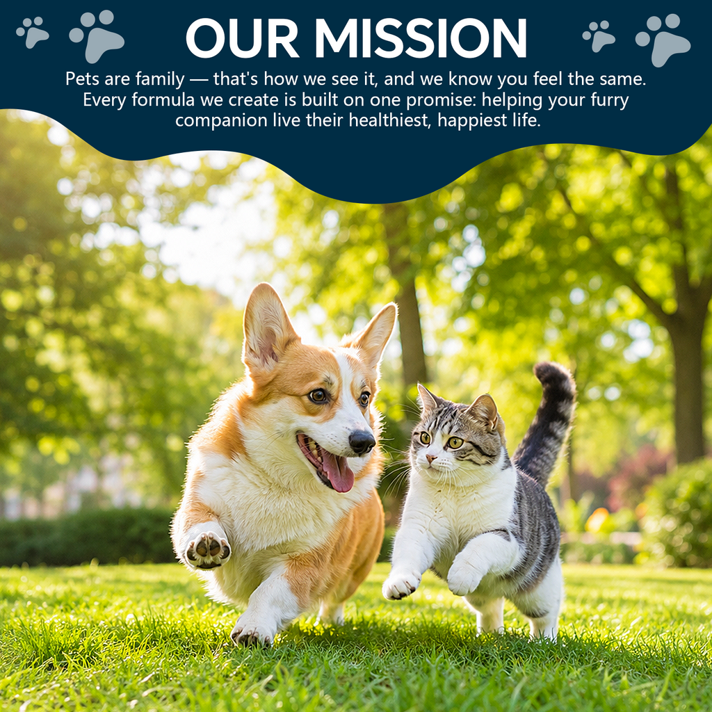 ProFluffyBio Taurine Supplement for Dogs & Cats Liquid Drops Heart Healthy 60mL (1pack) Pets Daily Amino Acid Nutrition Supplement, 100mg Taurine /mL, Vision Support, Vitamins for Heart, Energy & Vitality